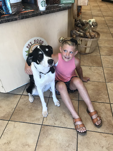 Pet Supply Store «Pet Food Gone Wild», reviews and photos, 2415 Southern Blvd SE, Rio Rancho, NM 87124, USA