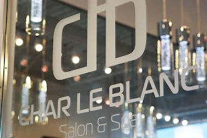 Char Le Blanc Salon image