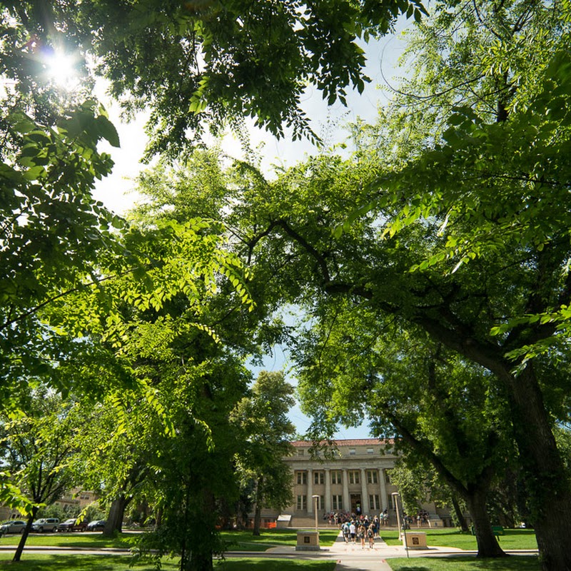 Colorado State University