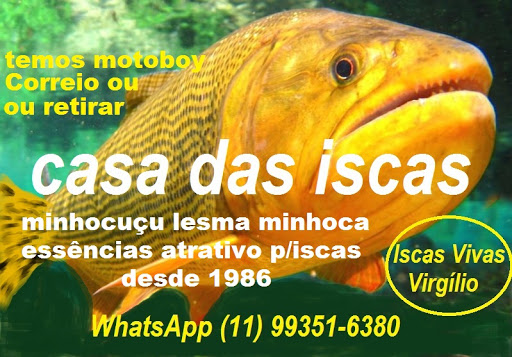 Af1qipno7 6y71i3ddu837t9i8evd68lhu5tv6k21y1n