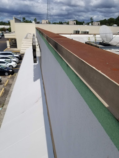 Dollar Store «Dollar Tree», reviews and photos, 3301 US-190, Mandeville, LA 70471, USA