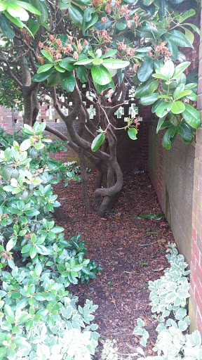 Memorial Park «Beverly David S Lynch Park», reviews and photos, 55 Ober St, Beverly, MA 01915, USA