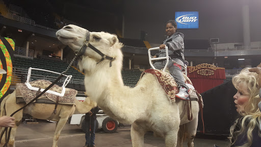 Arena «The Family Arena», reviews and photos, 2002 Arena Pkwy, St Charles, MO 63303, USA