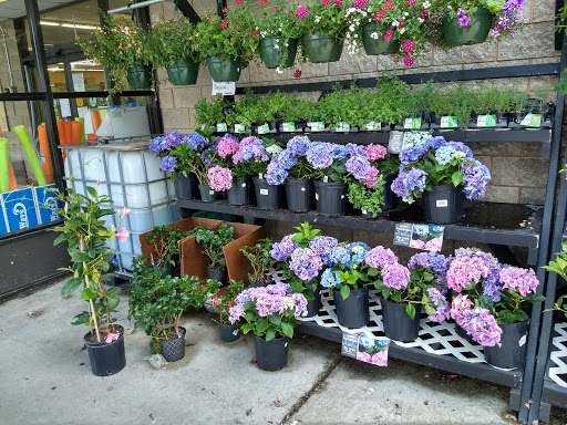 Discount Store «Ocean State Job Lot», reviews and photos, 2291 Northampton St, Holyoke, MA 01040, USA