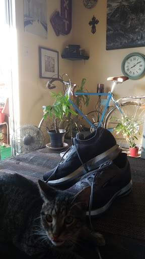 Running Store «Road Runner Sports», reviews and photos, 10436 Town Center Dr #300, Westminster, CO 80021, USA