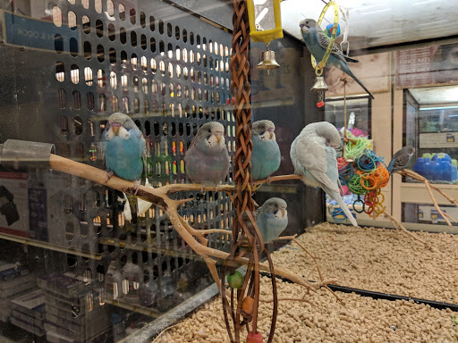 Pet Supply Store «PetSmart», reviews and photos, 198 Promenade Blvd, Flowood, MS 39232, USA