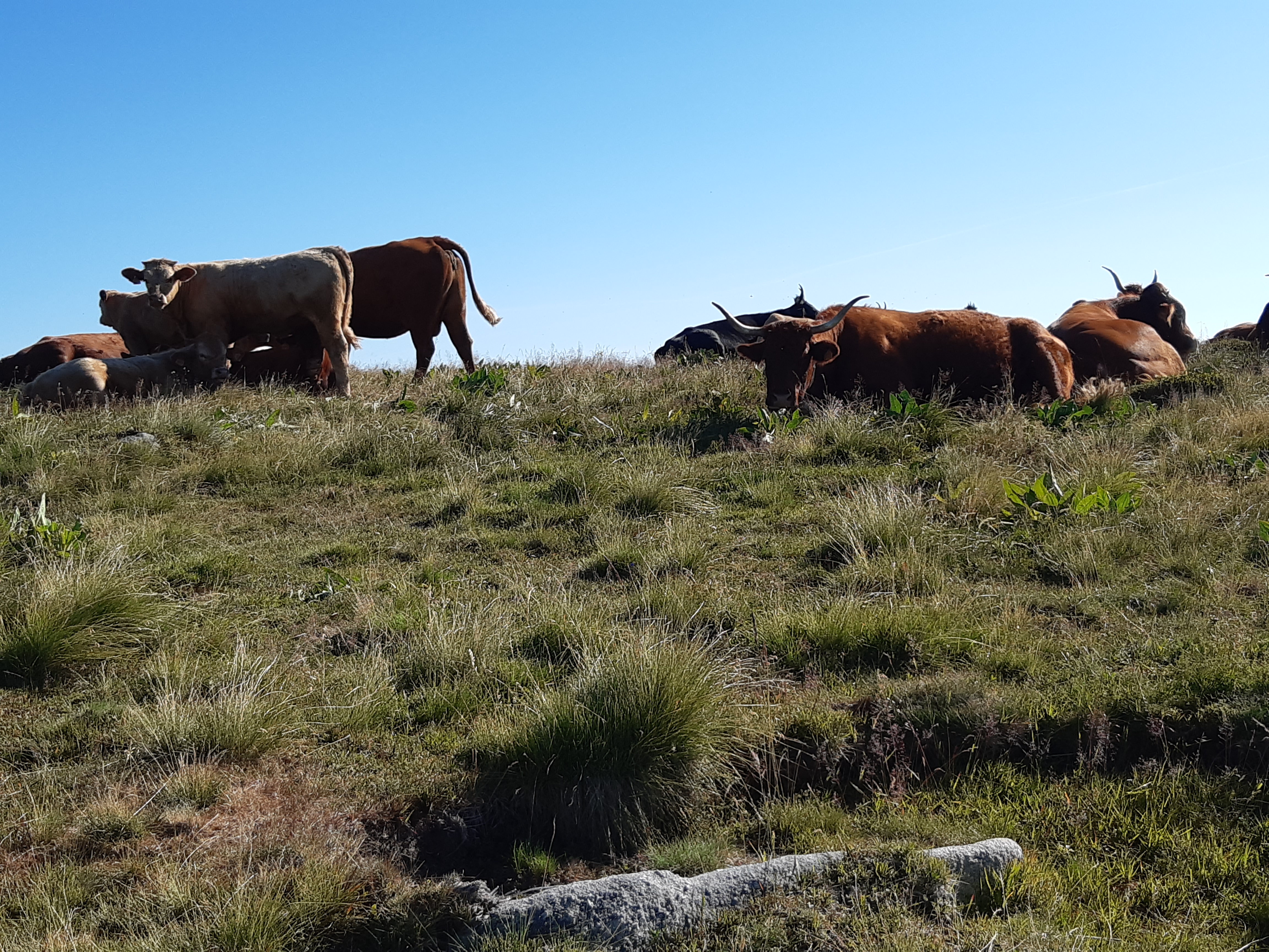 Photo n° 4 de l'avis de Jacky.e fait le 23/07/2019 à 11:24