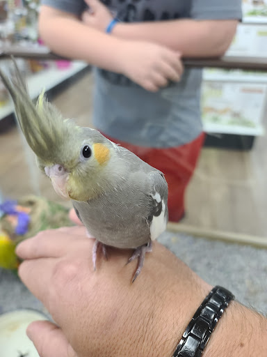 Pet Store «Petland», reviews and photos, 5470 Dixie Hwy, Fairfield, OH 45014, USA