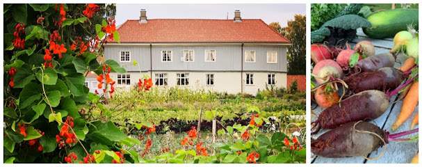 Dine Røtter - andelslandbruket på Wøyen gård