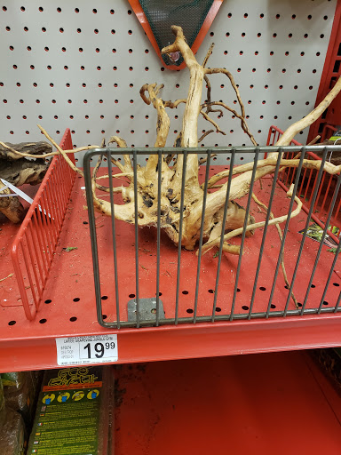 Pet Supply Store «Petco Animal Supplies», reviews and photos, 430 Cbl Dr, St Augustine, FL 32086, USA