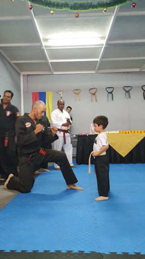 Escuela De Karate - Academia Arrows Martial Arts