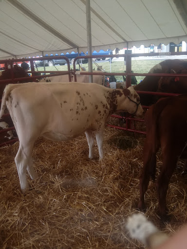 Park «Bicentennial Park», reviews and photos