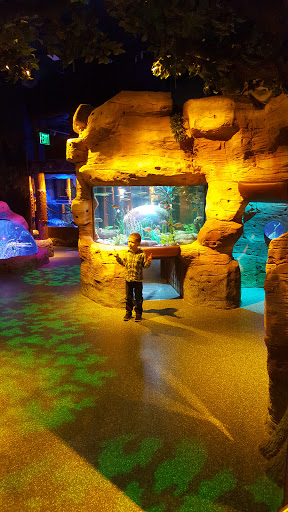 Aquarium «SEA LIFE Michigan Aquarium», reviews and photos, 4316 Baldwin Rd, Auburn Hills, MI 48326, USA