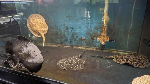 Pet Store «Forest Lake Pets», reviews and photos, 120 Lake St N, Forest Lake, MN 55025, USA