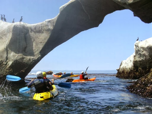 Surf Shop «Pismo Beach Surf Shop», reviews and photos, 470 Price St, Pismo Beach, CA 93449, USA