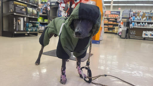 Pet Supply Store «Petco Animal Supplies», reviews and photos, 205 Palm Bay Rd NE #155, West Melbourne, FL 32904, USA