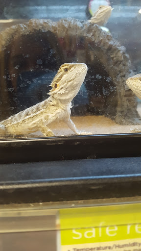 Pet Supply Store «Petco Animal Supplies», reviews and photos, 35860 Chester Rd, Avon, OH 44011, USA