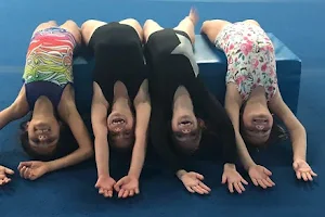 World Class Gymnastics image