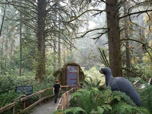 Tourist Attraction «Prehistoric Gardens», reviews and photos, 36848 US-101, Port Orford, OR 97465, USA