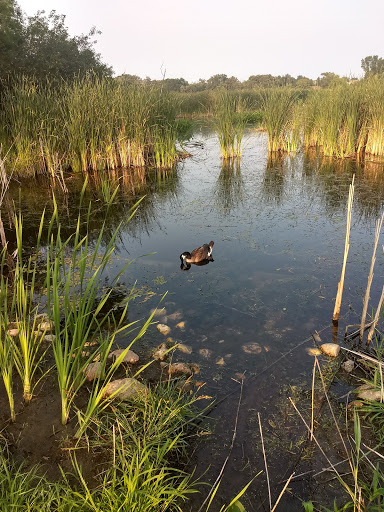Nature Preserve «Nippersink Forest Preserve», reviews and photos, 900 W Belvidere Rd, Round Lake, IL 60073, USA