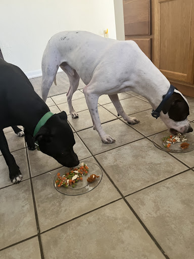 Willow Roes Box of Treats