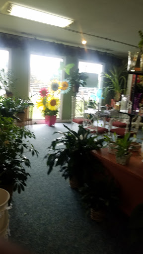 Florist «Roseland Floral Co., Inc.», reviews and photos, 633 Central Ave, Charlotte, NC 28204, USA