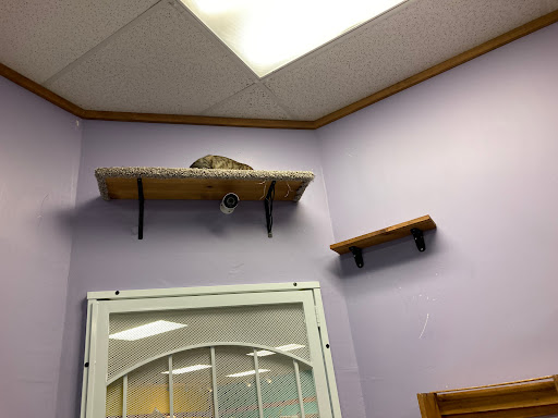 Pet Supply Store «Animal House Pet Supplies», reviews and photos, 733 Phillips Blvd, Sauk City, WI 53583, USA