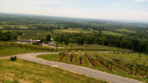 Bluemont Vineyard