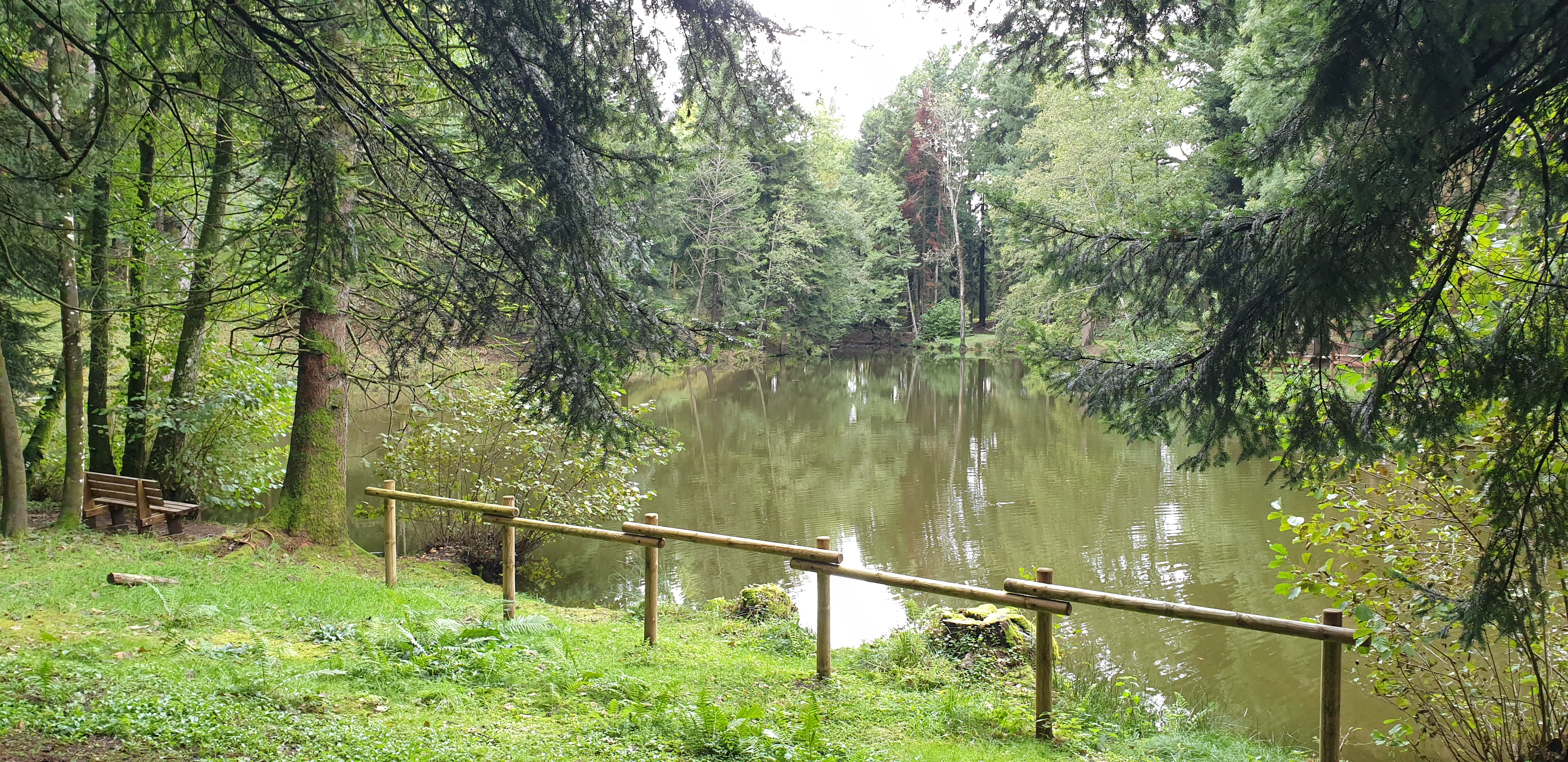 Photo n° 1 de l'avis de Christ'. fait le 04/10/2021 à 14:40