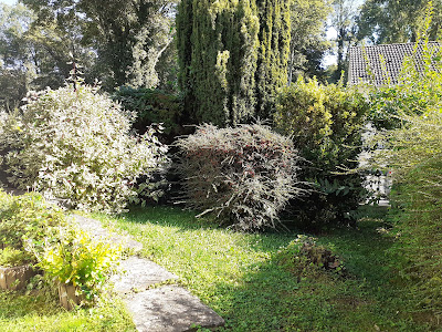 M.S.Lacroix à Montry