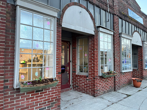 Four Paws - Pet Salon