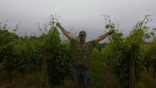 Domaine du logis - earl Fiolleau - vin du pays nantais à Corcoué-sur-Logne