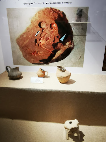 Muzeul dunarii de jos sectia arheologie
