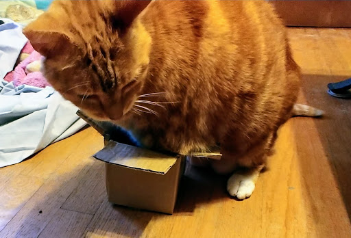 Pet Supply Store «PetSmart», reviews and photos, 865 Colusa Ave, Yuba City, CA 95991, USA