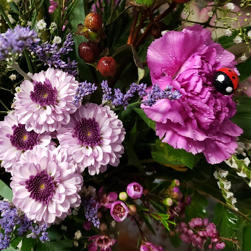 Florist «Carrolls Florist of Beverly», reviews and photos, 385 Cabot St, Beverly, MA 01915, USA