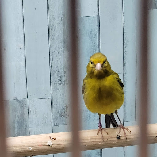 Pet Supply Store «Pet Food Center», reviews and photos, 4036 N First Ave, Evansville, IN 47710, USA