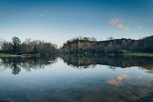 La Roche Ballue de Bouguenais image