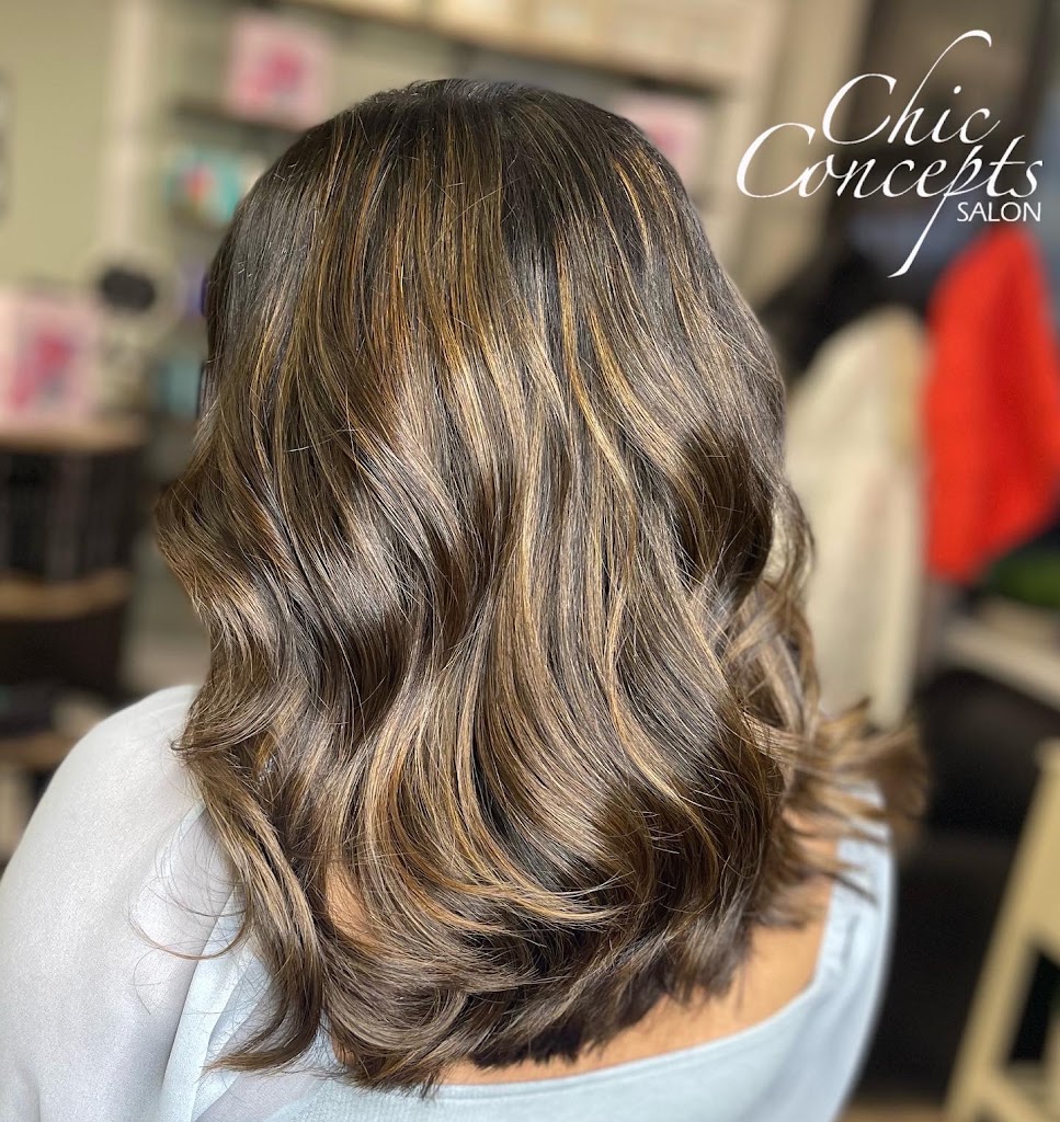 Chic Concepts Salon 60172