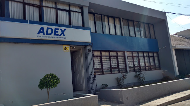Opiniones de ADEX AREQUIPA en Yanahuara - Oficina de empresa