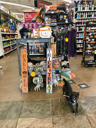 Hardware Store «Pinnacle Peak Ace Hardware», reviews and photos, 23623 N Scottsdale Rd, Scottsdale, AZ 85255, USA