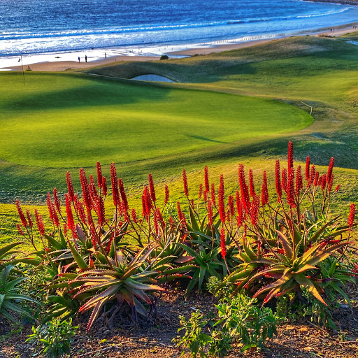 Golf Resort «Monarch Beach Golf Links», reviews and photos, 50 Monarch Beach Resort N, Dana Point, CA 92629, USA