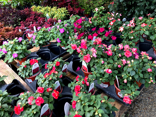 Plant Nursery «A Growing Concern Garden Center», reviews and photos, 1707 Spartanburg Hwy, Hendersonville, NC 28792, USA