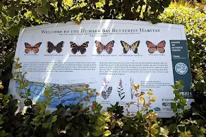 Humber Bay Butterfly Habitat image