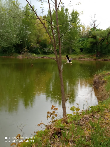 Rajkai bányatavak - Szórakozóhely
