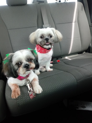 Used Car Dealer «Germain Toyota of Columbus», reviews and photos, 5711 Scarborough Blvd, Columbus, OH 43232, USA