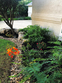 DNS Landscaping - Photo 5 - Car repair in San Antonio, TX, San Antonio
