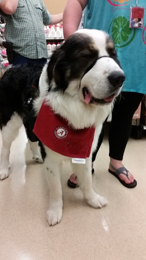 Pet Supply Store «Petco Animal Supplies», reviews and photos, 5631 Grove Blvd, Hoover, AL 35226, USA
