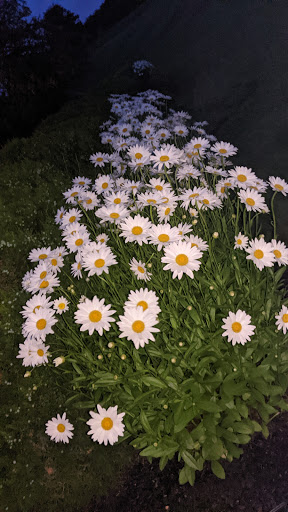 Country Club «Atkinson Resort & Country Club», reviews and photos, 85 Country Club Dr, Atkinson, NH 03811, USA