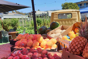 Dromana Market Garden & Outdoor Cafe