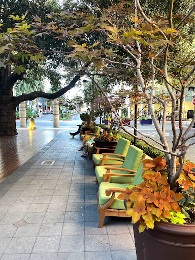 Patisserie «Cocola Bakery», reviews and photos, 333 Santana Row #1045, San Jose, CA 95128, USA